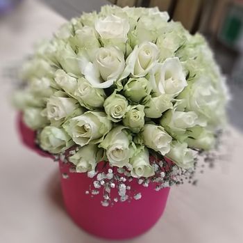 51 ,Кения, 40см
